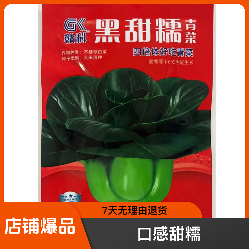 青菜种子黑大头种子黑甜糯青菜种子蔬菜种子大全家庭优良品耐寒
