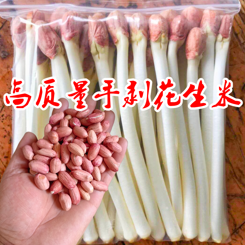 花生芽苗菜种植专用手剥花生米花育9616高产水培发芽花生手剥花生