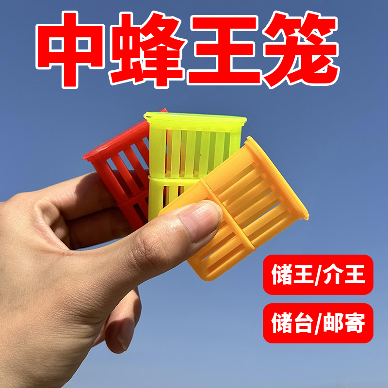 多功能囚王笼新款塑料王笼介王囚王储存王台神器邮寄蜂王神器专用