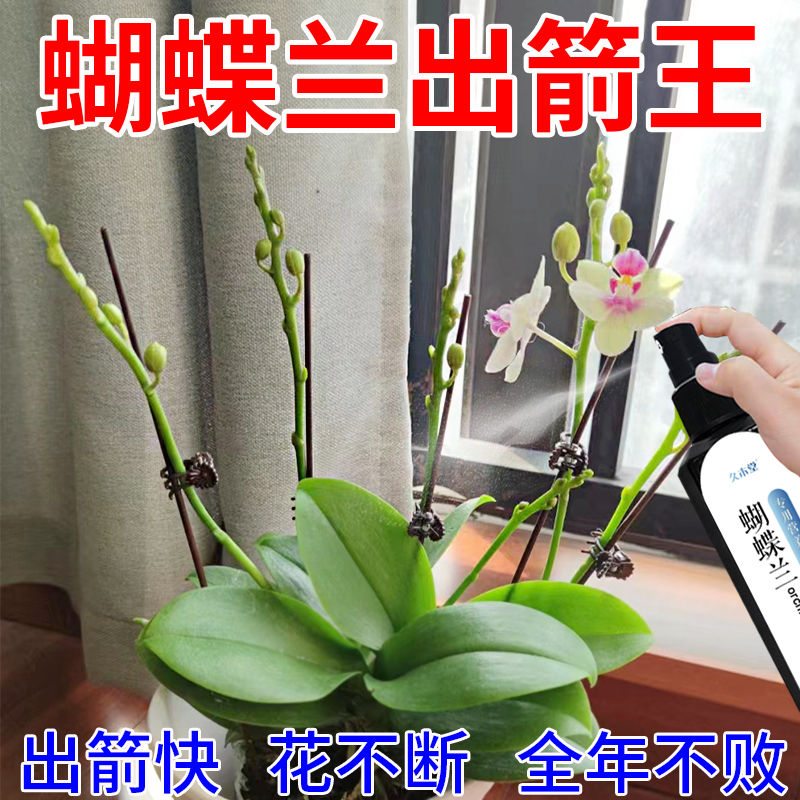 【一喷出箭】蝴蝶兰营养液专用肥促拔箭开花防黄叶烂根兰花液体肥