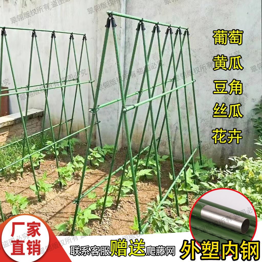 蔬菜植物黄瓜豆角葡萄室外阳台爬藤支撑架子园艺铁艺竹子钢管结实