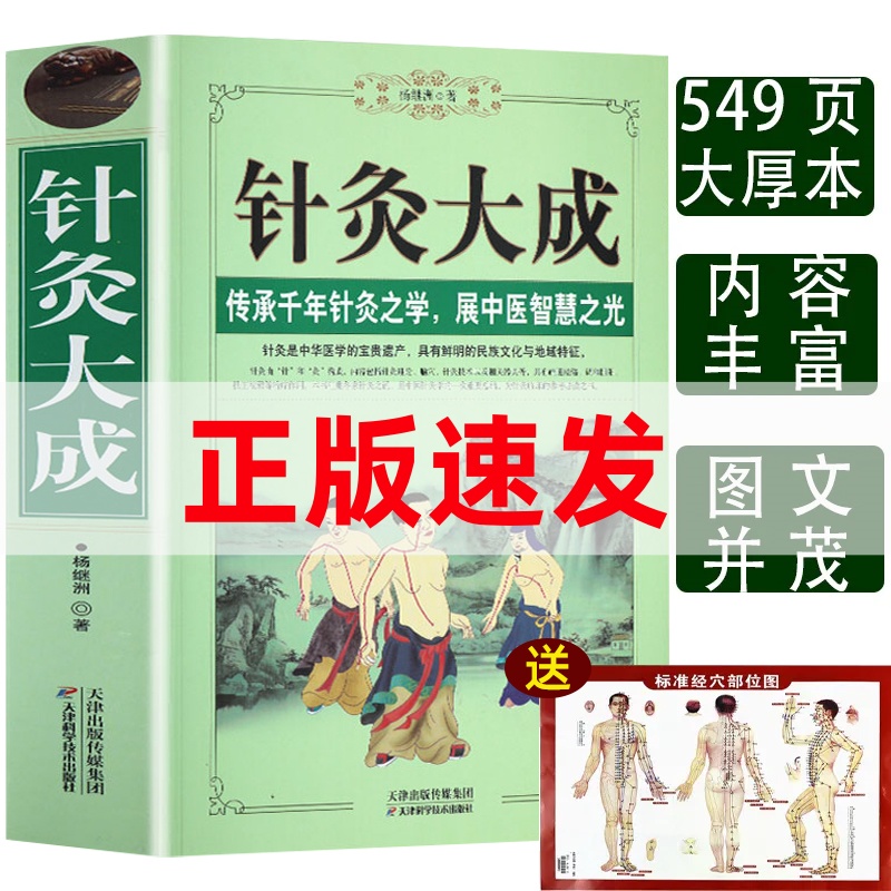 针灸大成校释杨继洲倪海艾灸中医临床针灸大全医学基础入门书籍