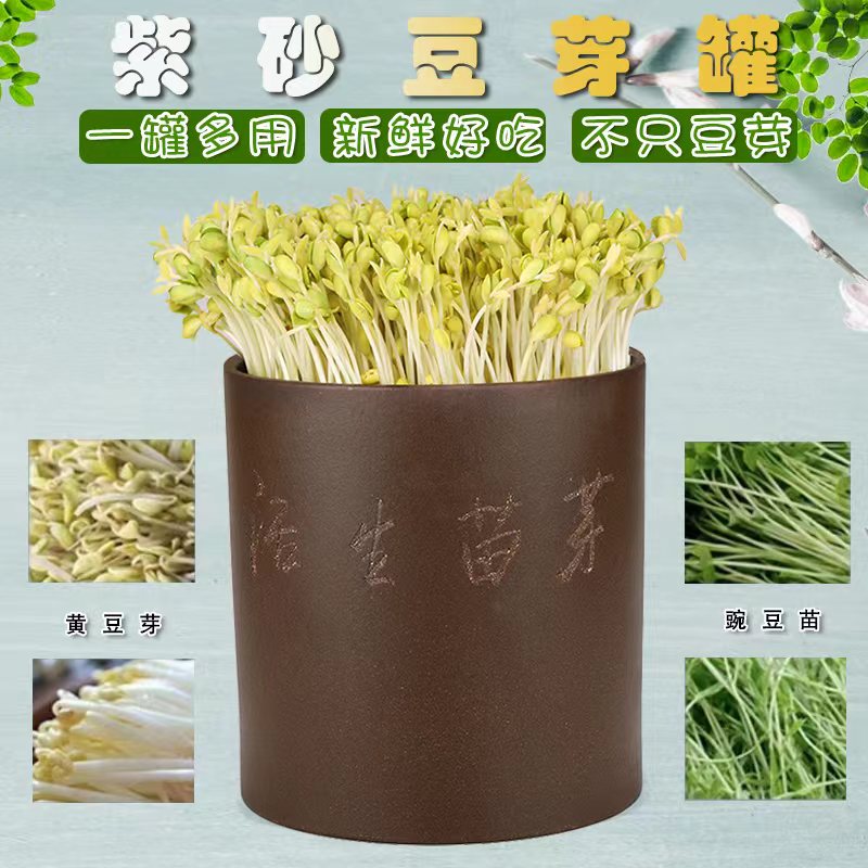宜兴紫砂豆芽桶豆芽机芽苗罐育苗神器发芽制作简单