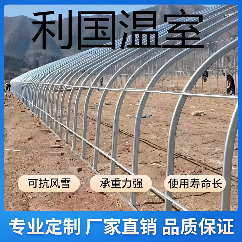 利国温室大棚椭圆管养殖大棚骨架防风草莓支架养鸭鸡猪牛养鸡大棚