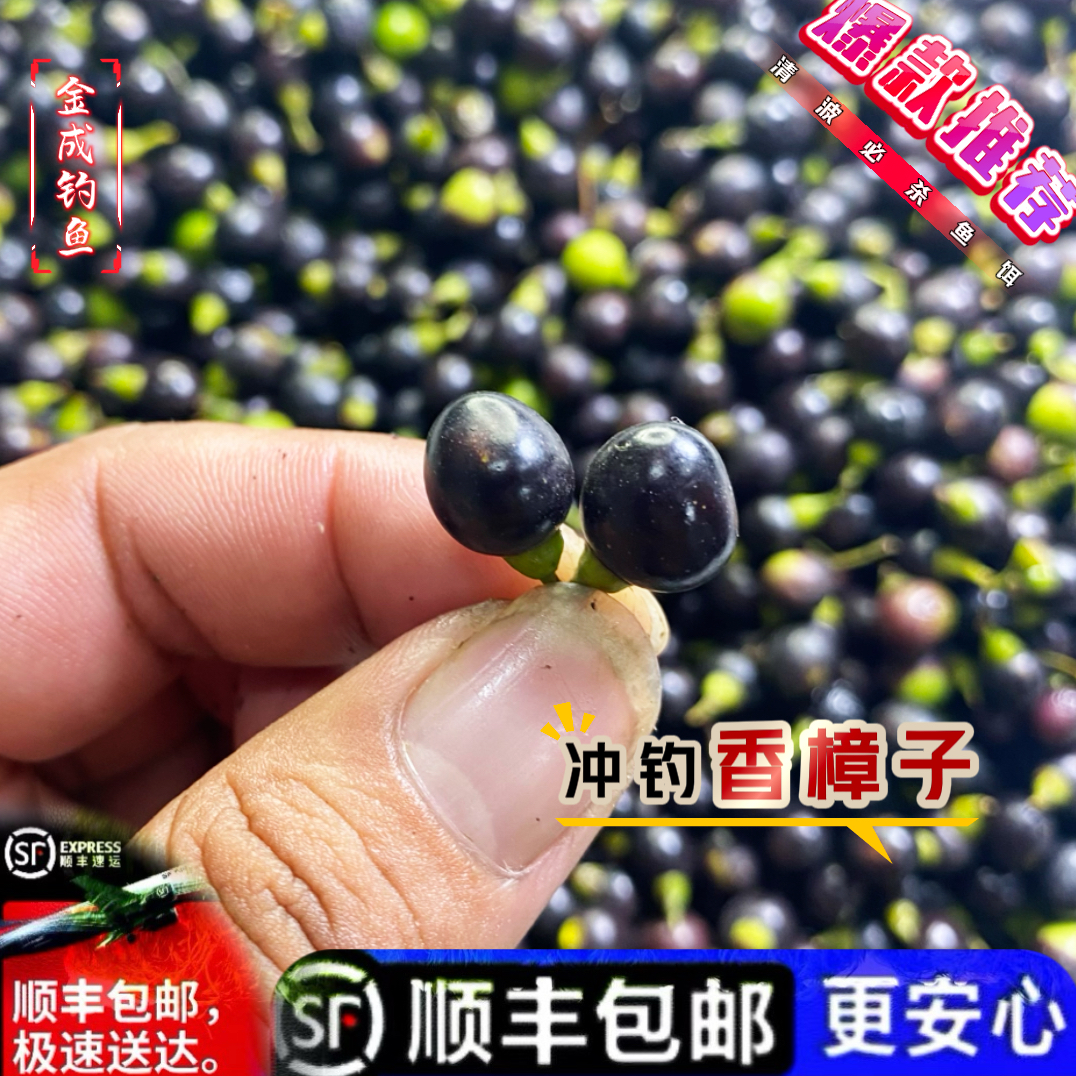 新鲜香樟籽冲钓清波必杀技天然鱼饵