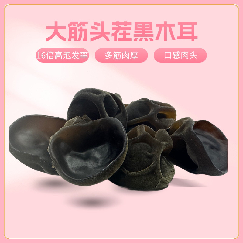 【杰森 初耳】大筋黑木耳｜黑龙江特产｜长白山黑木耳｜250g｜500g
