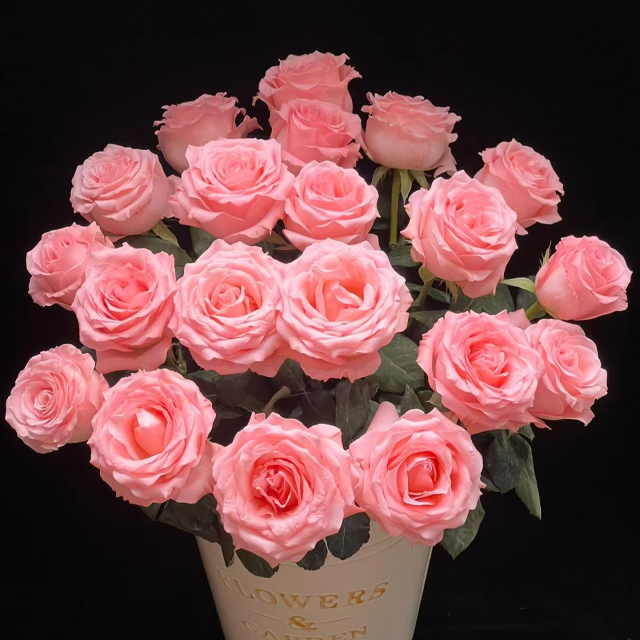 【戴安娜5枝+香槟5枝+芭比3枝+扶郎花10枝+配草】