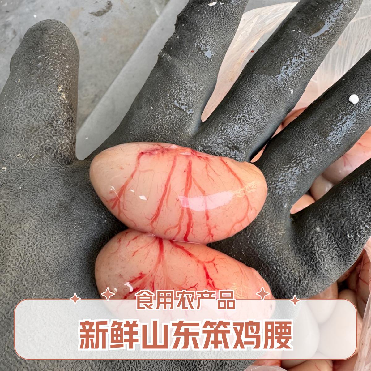 鸡腰子现杀鸡蛋生鲜子公鸡蛋公鸡腰子鸡卵子鸡睾丸新鲜山东笨鸡腰