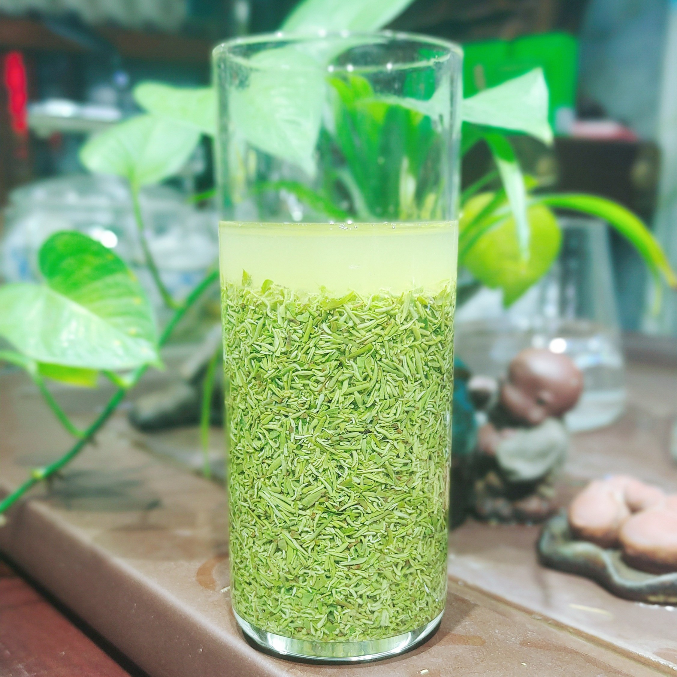 2025年新茶信阳毛尖茶  茶碎  芽碎 碎茶末 碎绿茶 包邮