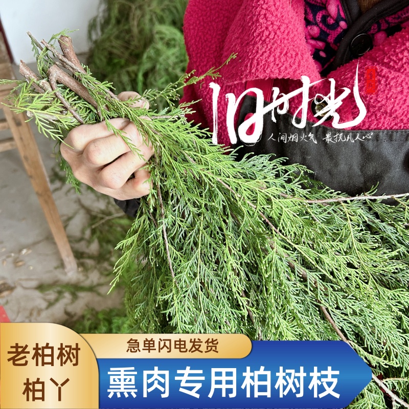 重庆柏树枝5斤9斤包邮圣诞节装饰diy 新鲜香柏树丫熏肉侧柏叶泡酒