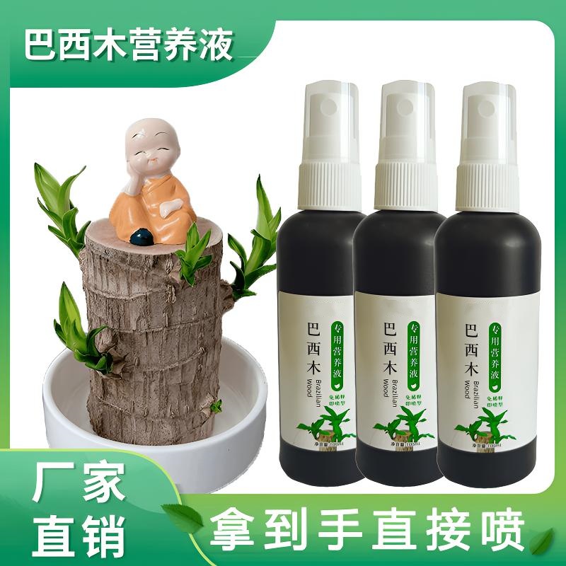 免稀释巴西木专用营养液家用花卉盆栽植物液体肥室内花肥料幸运木