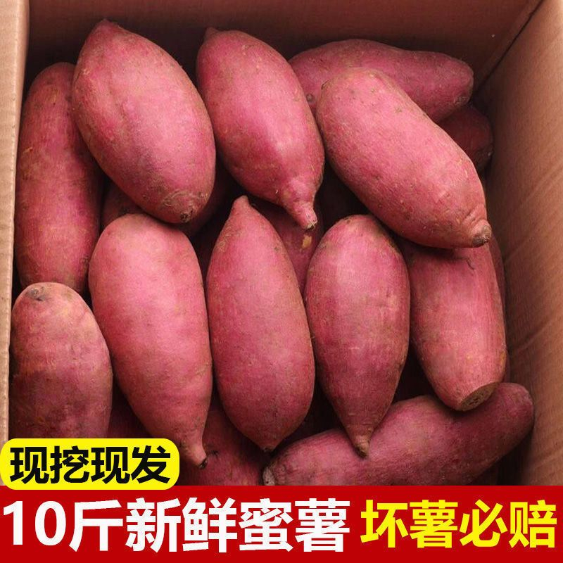 【抢购中】爆甜沙地蜜薯1/10斤新鲜红薯地瓜板栗薯番薯蔬菜水果香甜