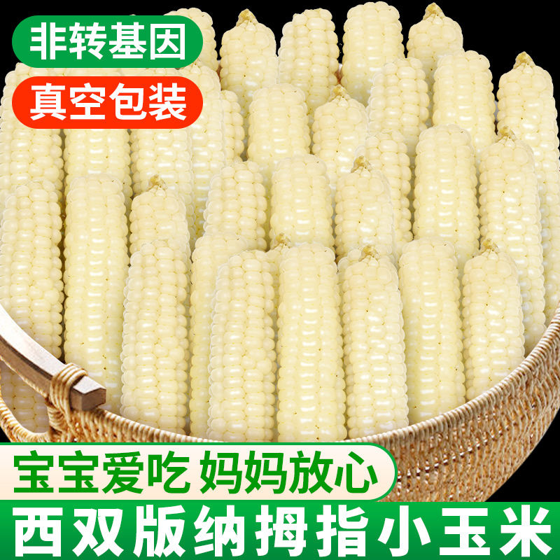 云南西双版纳拇指玉米新鲜手指小玉米迷你现摘甜白糯宝宝孕妇玉米