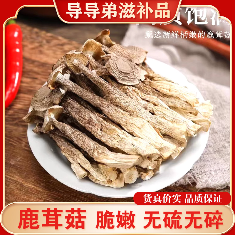 导导弟【鹿茸菇】新鲜鹿茸菇干货 鹿茸菌煲汤脆姑蘑菇香菇饱满鲜美
