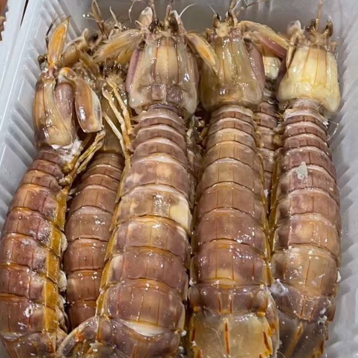 连云港新鲜皮皮虾 每盒500/克 不肥包退 不新鲜包退冷冻保存