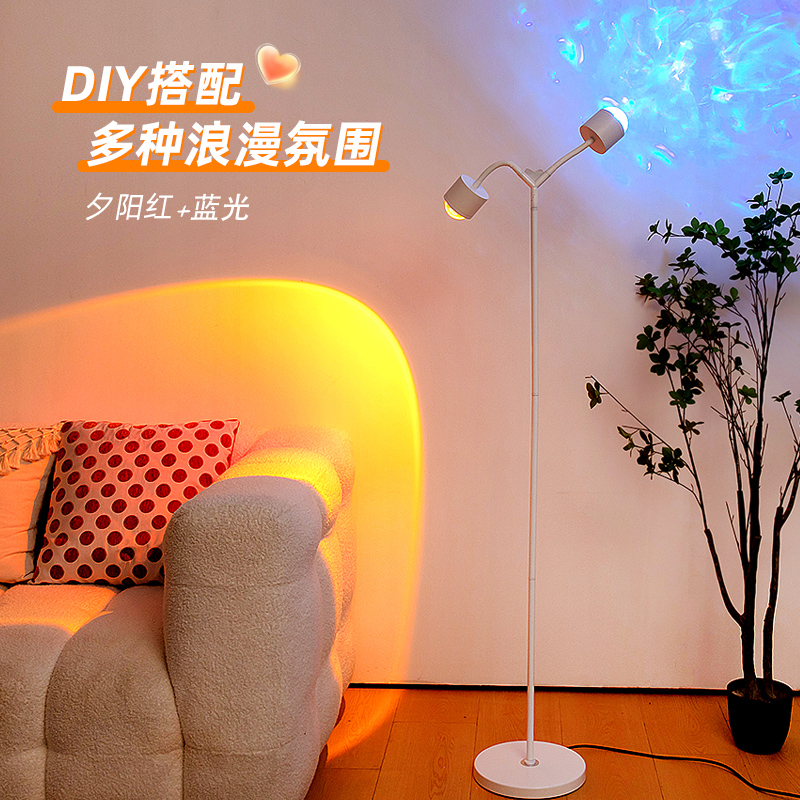 2025心款双头动态夕阳红创意简约直播店铺地台灯落地款式氛围灯