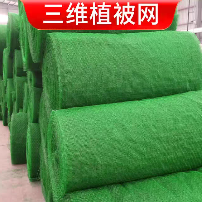 加筋三维植被网NSS5生产厂家客土喷播施工矿山复绿河道治理防护