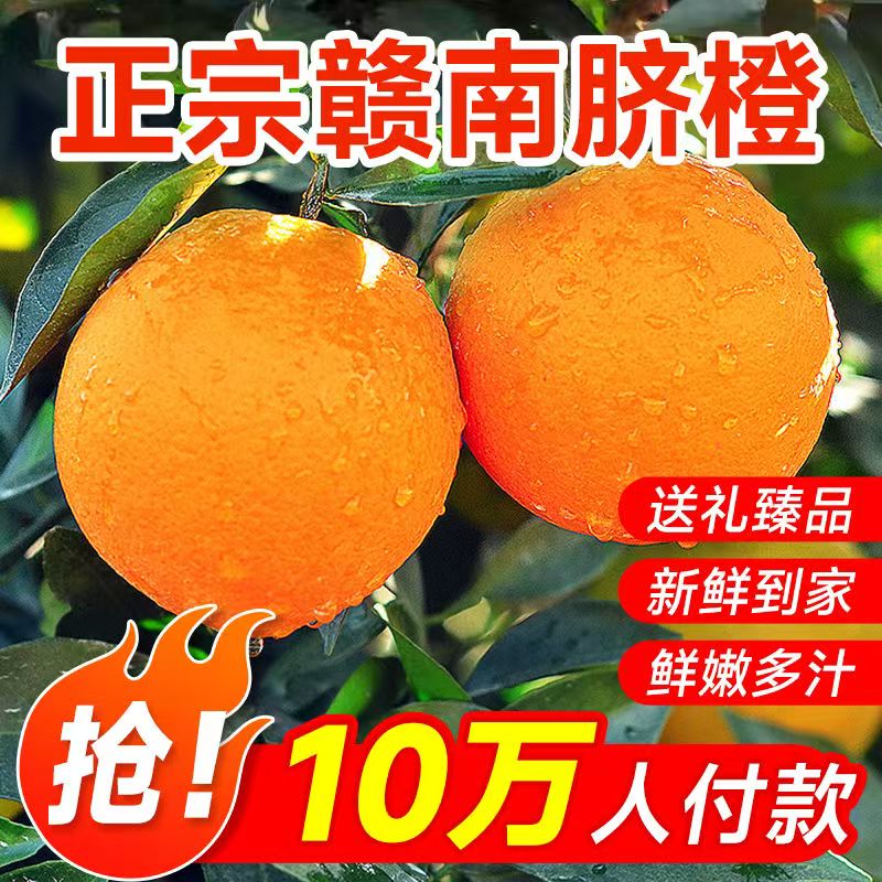 现摘正宗赣南脐橙寻乌应季水果新鲜橙子产地直发特产江西赣橙
