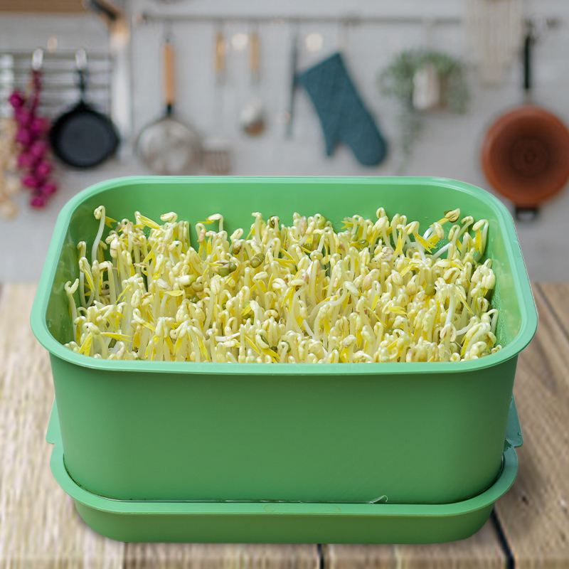 绿色专用盆无土栽培种植盘发豆芽全套育苗盘塑料培育发花生芽盆