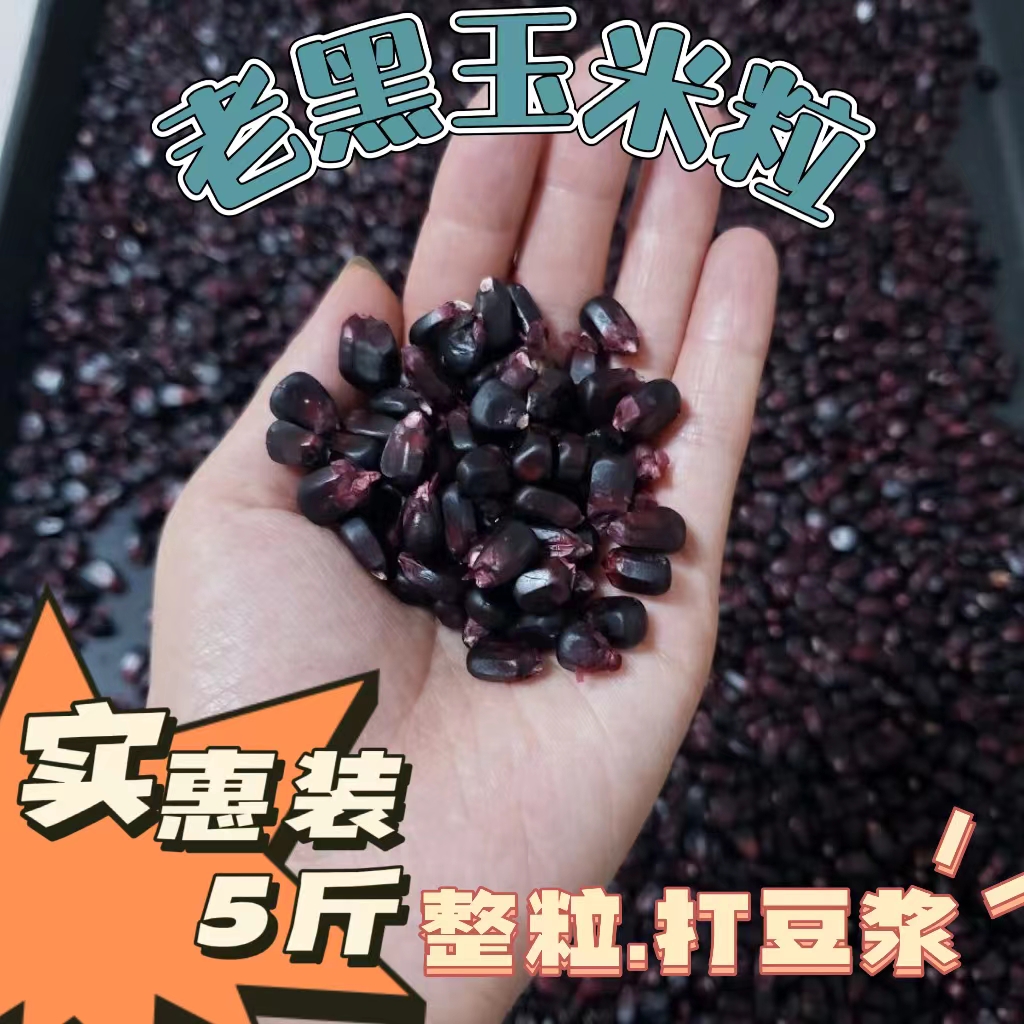 山东农家自种晒干黑玉米粒打豆浆煮粥玉米糊煮茶5斤包邮