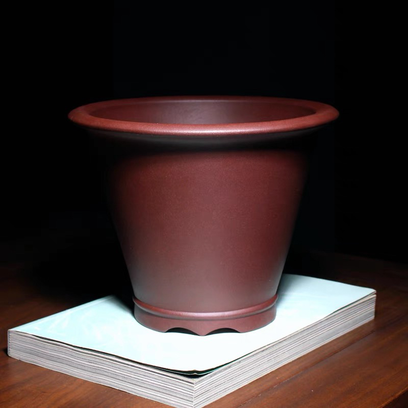 春秋花盆精品春兰斗笠