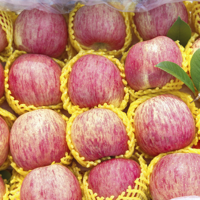 正宗陕西苹果脆甜新鲜水果当季洛川红富士整箱4.5/8.5斤冰糖心