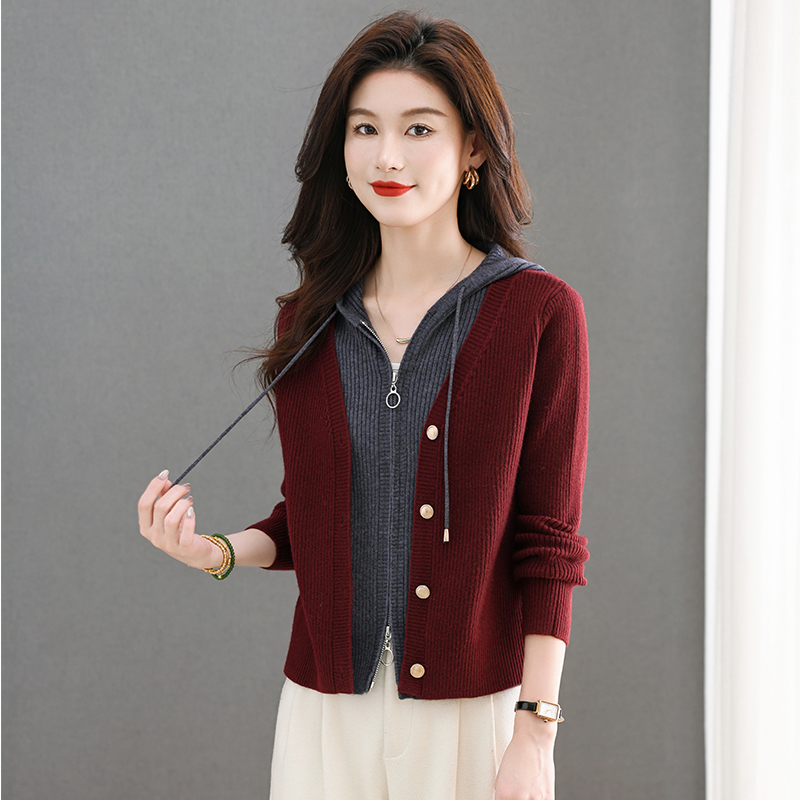 假两件外套毛衣开衫女连帽针织衫秋装2025新款女装时尚百搭设计感