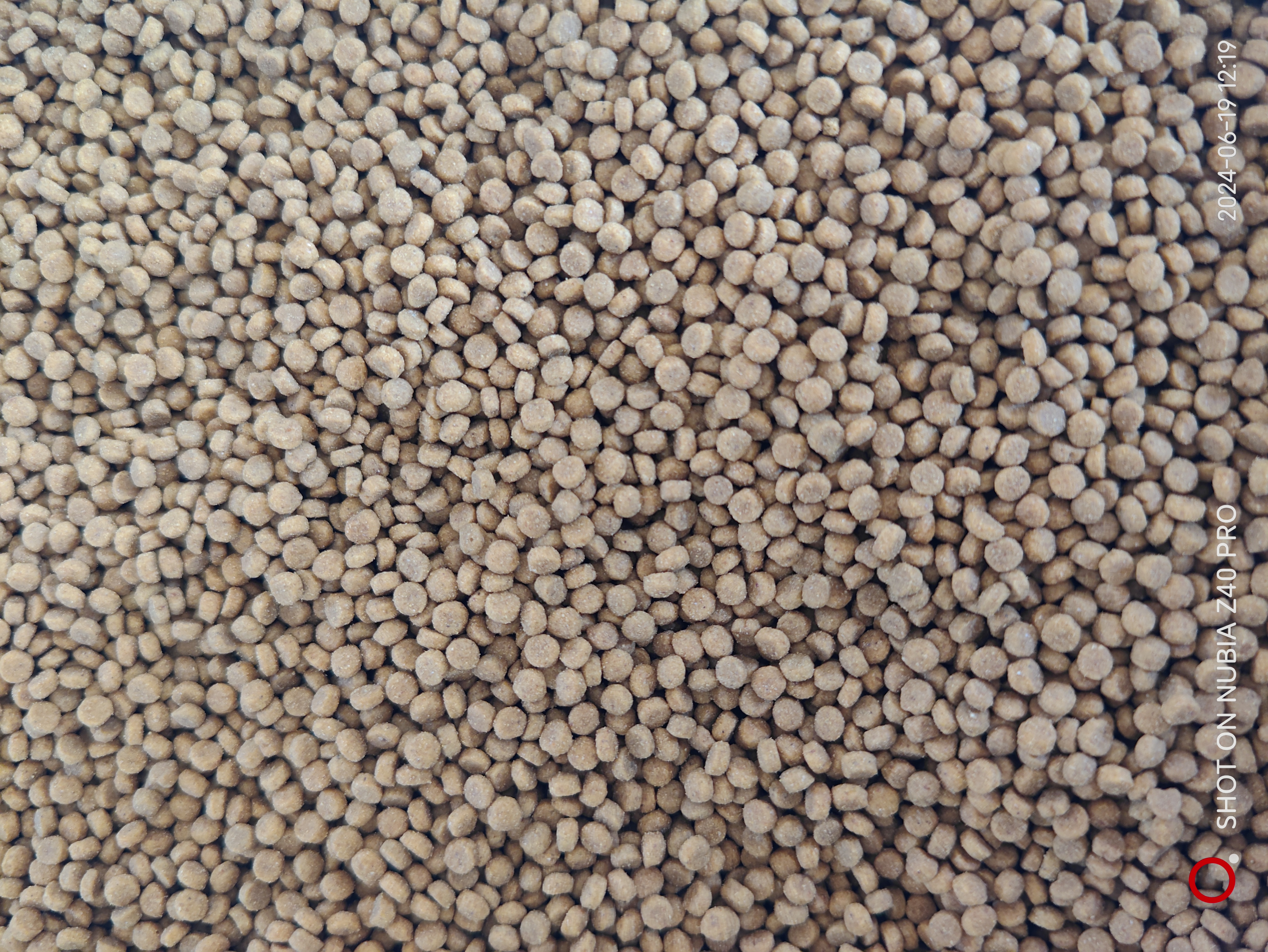 猫粮散装猫粮田园猫流浪猫猫粮大厂出品