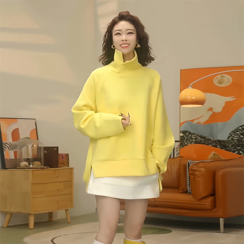 气质立领卫衣女士2025新款韩系冬季宽松设计开叉外套百搭休闲上衣