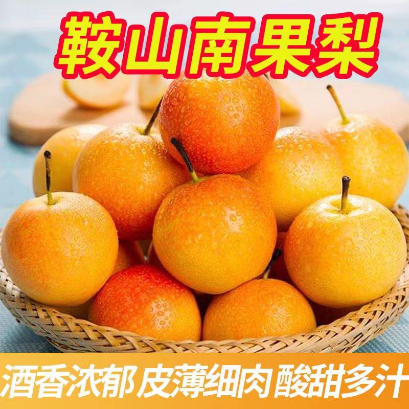 鞍山南国梨东北特产皮薄新鲜酒香梨成熟香甜多汁南果梨