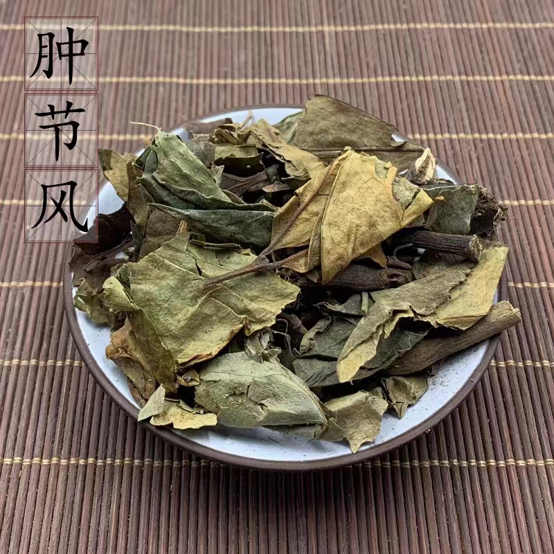 精选新货 肿节风 九节茶九节风接骨莲草珊瑚 跌打损伤克包邮