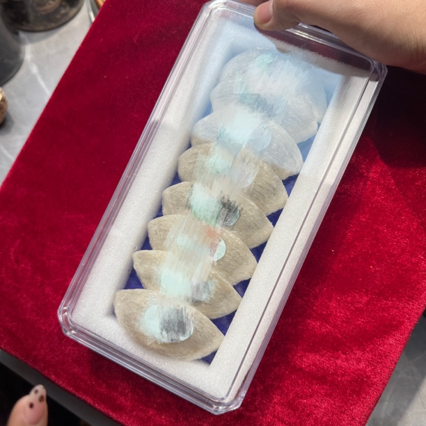 [蓉姐鱼胶福利]蜗蜗 可搭配枸杞