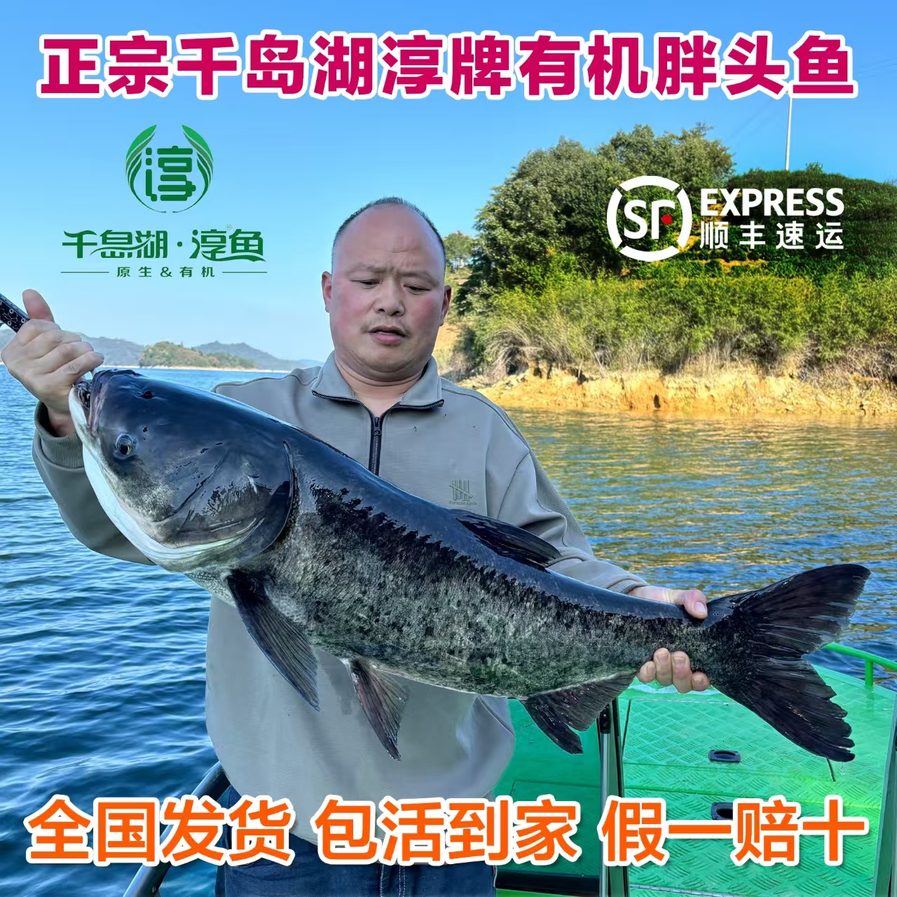 官方认证正宗千岛湖活鱼淳牌有机胖头鱼鳙鱼鲢鱼大头鱼包头胖头鱼