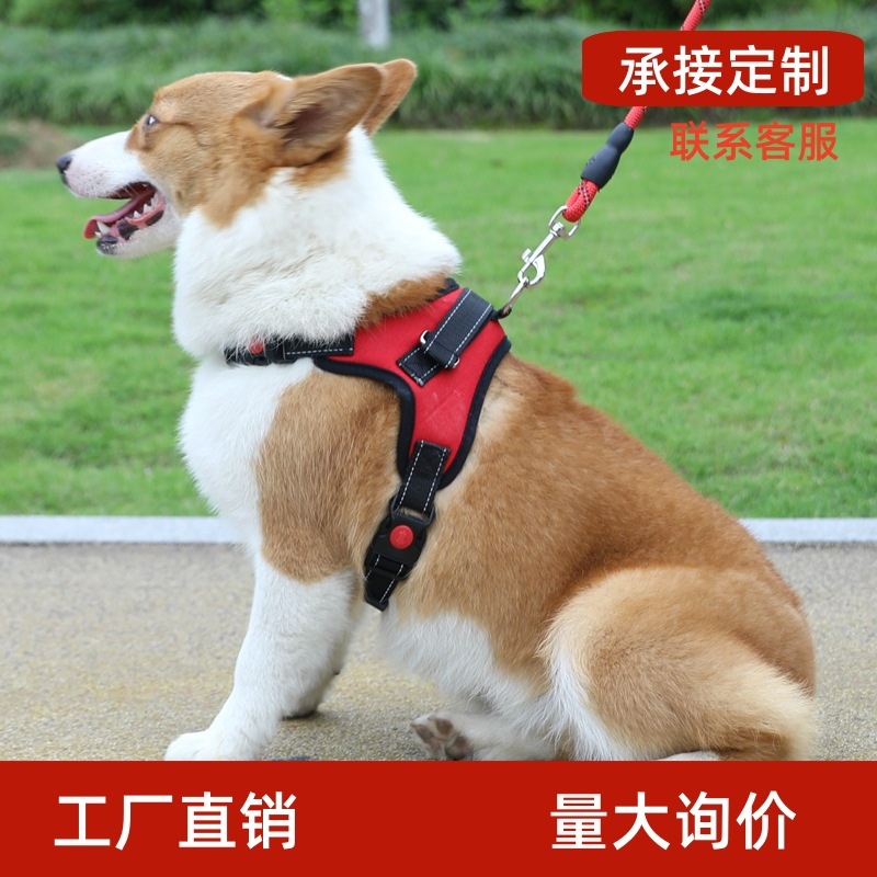 狗狗胸通用牵引绳背心式大中小型犬防爆冲咬耐用狗链子可调遛狗绳