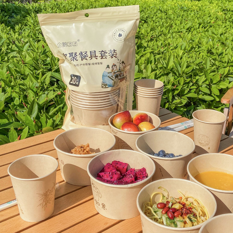烧烤露营餐具便携套装一次性加厚欢聚纸碗纸杯筷子套装野餐