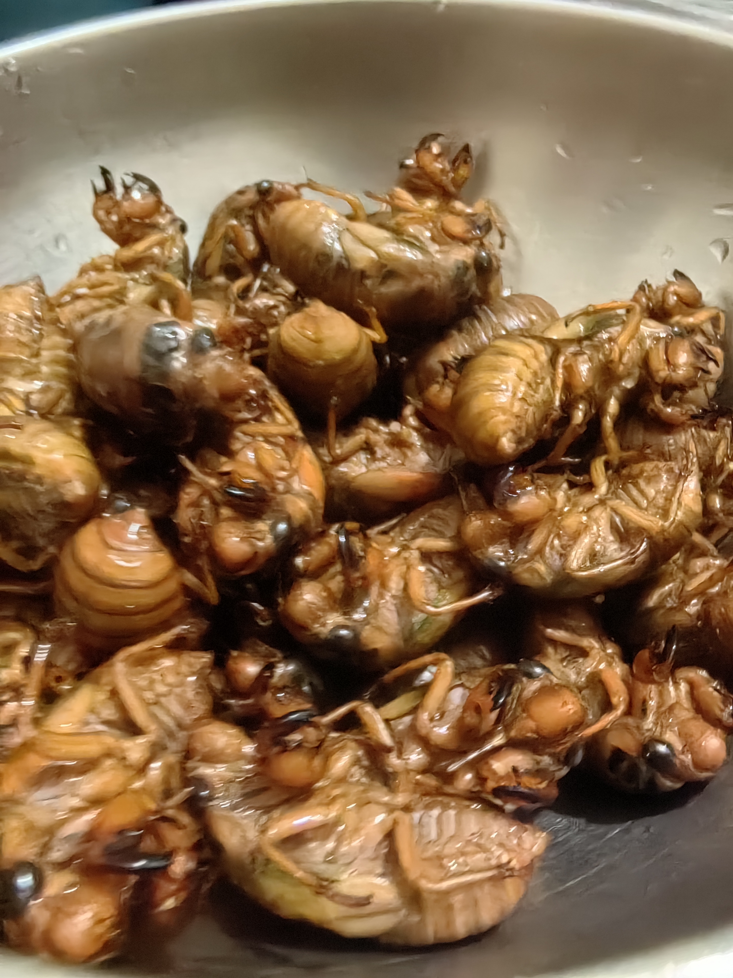 2025年鲜货活体速冻爬叉50个