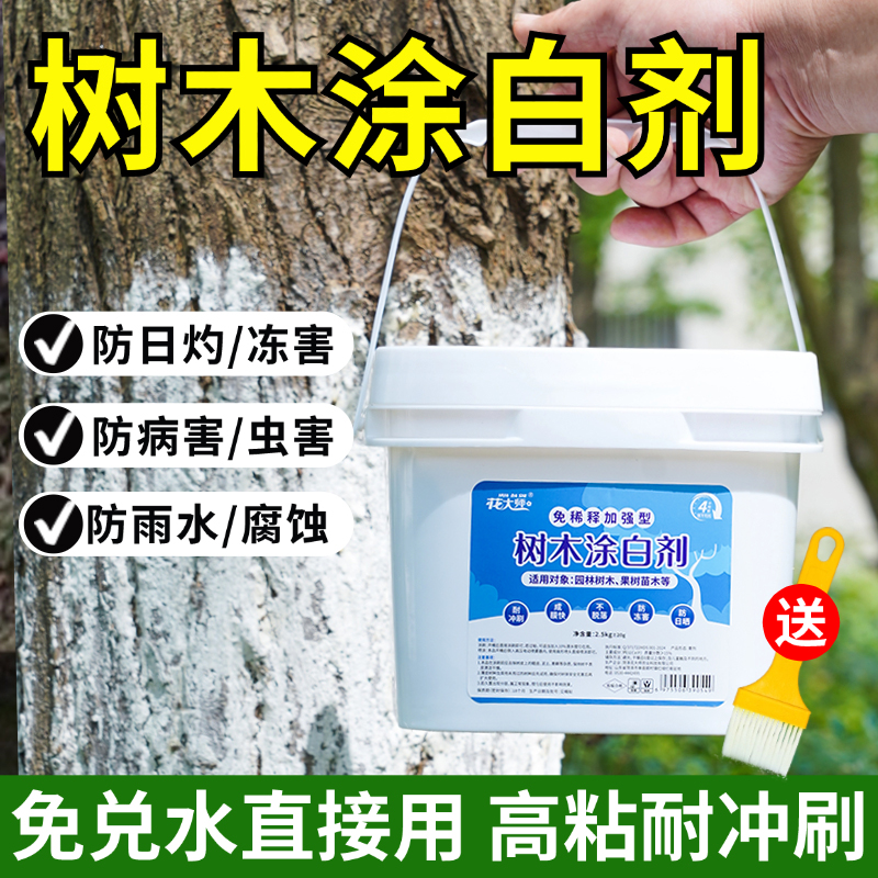 免稀释树木涂白剂树干果树防虫大树柑橘冬季园林植物防冻树木刷白