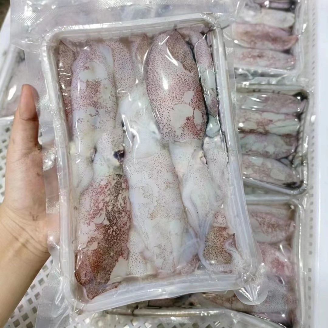 福建祥芝威隆海鲜新鲜水产野生小鱿鱼