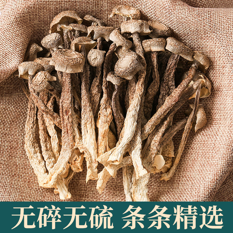 【凉拌炒菜】鹿茸菇干货净重鹿茸菌无硫新鲜煲汤古田脆脆菇蘑干香菇