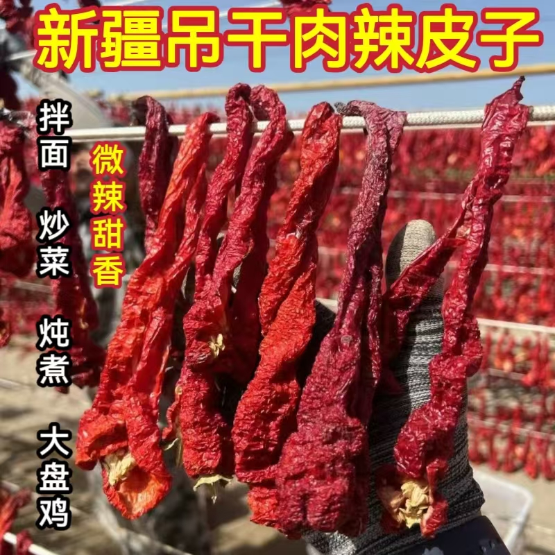 新疆肉辣皮子焉耆肉辣皮子安集海辣皮子大盘鸡辣皮子拌面新疆直发