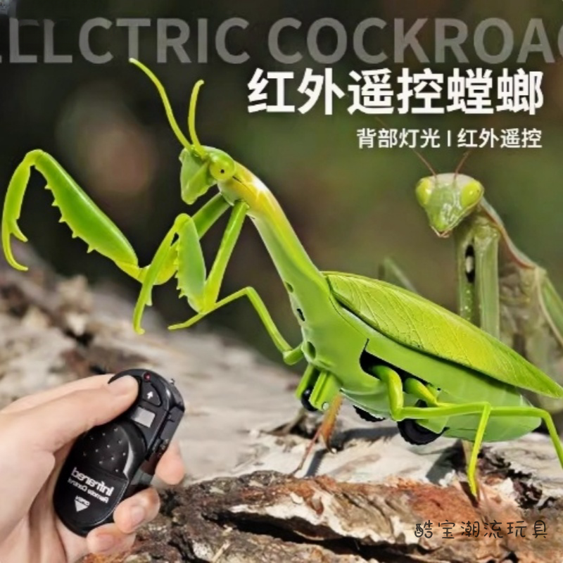 整蛊玩具仿真昆虫玩具红外线感应苍蝇蜜蜂瓢虫螃蟹螳螂趣味玩具