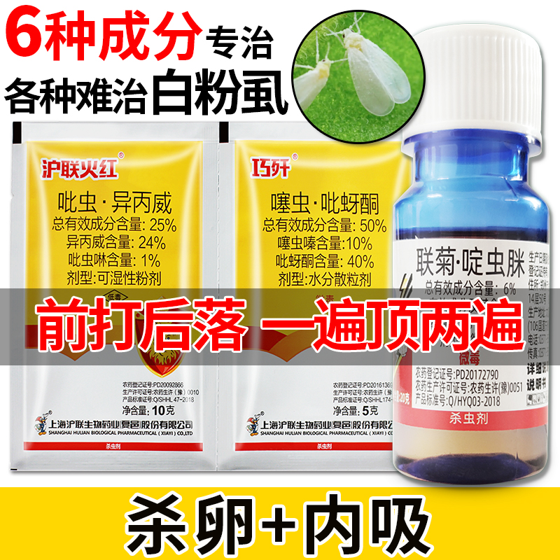 抗性白粉虱专用药正打反死小黑飞蚜虫蓟马飞虱杀卵蔬菜果树杀虫剂