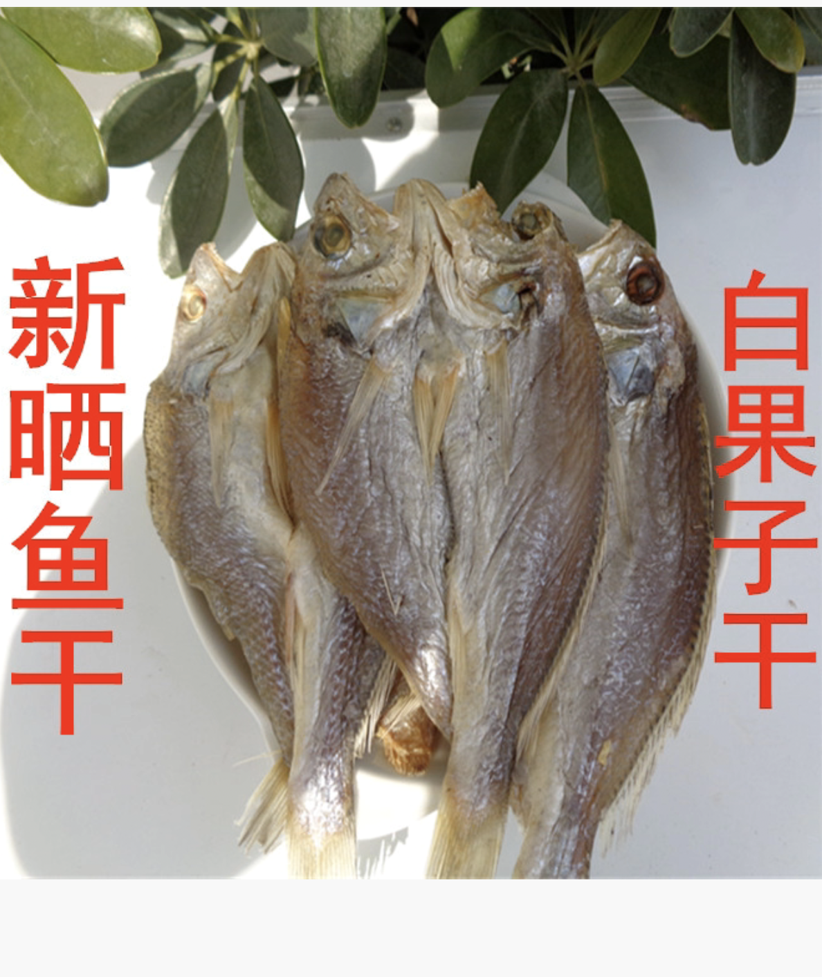 舟山特产干货 大黄花鱼干白果子干 咸鱼干货 大梅鱼干250克