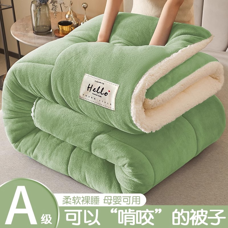 冬季羊羔绒冬被棉被加厚保暖被子被芯宿舍单人秋冬被2024新款冬天