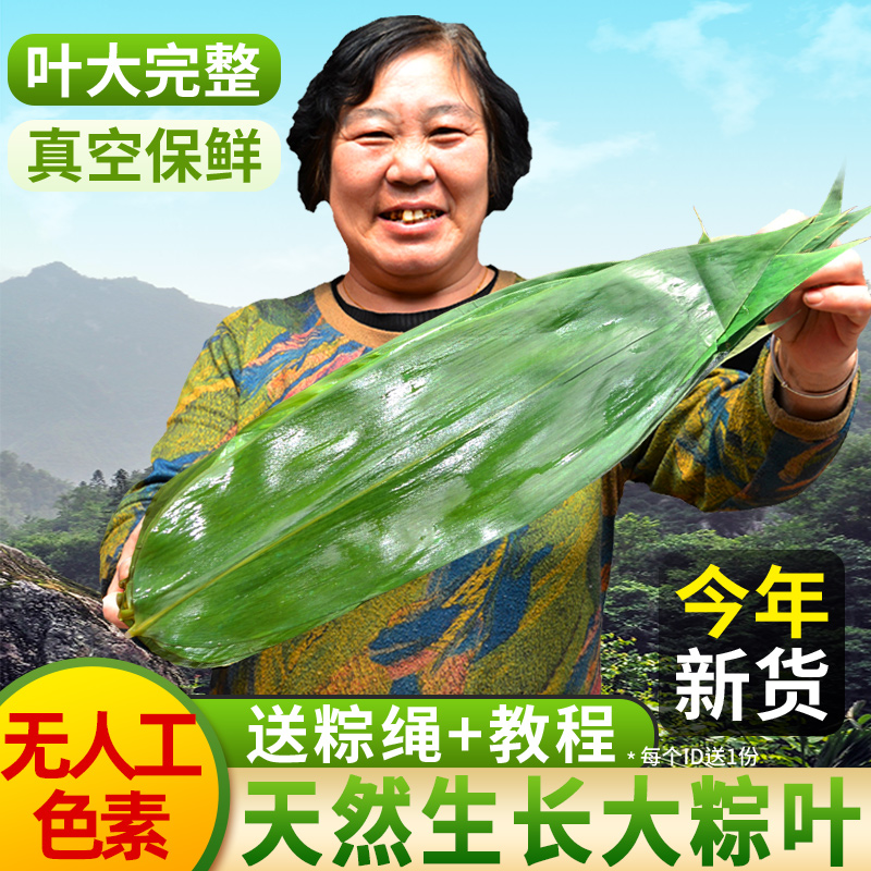 粽叶新鲜家用端午包粽子叶子特大号箬叶真空装竹子叶干粽子叶200g