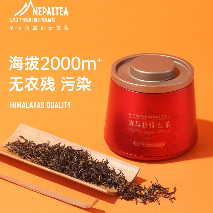 2025特级喜马拉雅红茶尼泊尔进口红茶花果甜香滋味足高山红茶