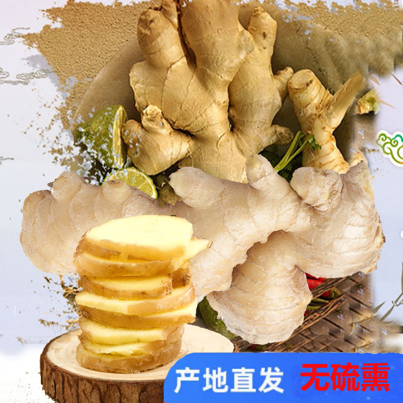 坏果包赔正宗山东特产老姜生姜新鲜风干大姜老黄姜月子姜辛辣提味