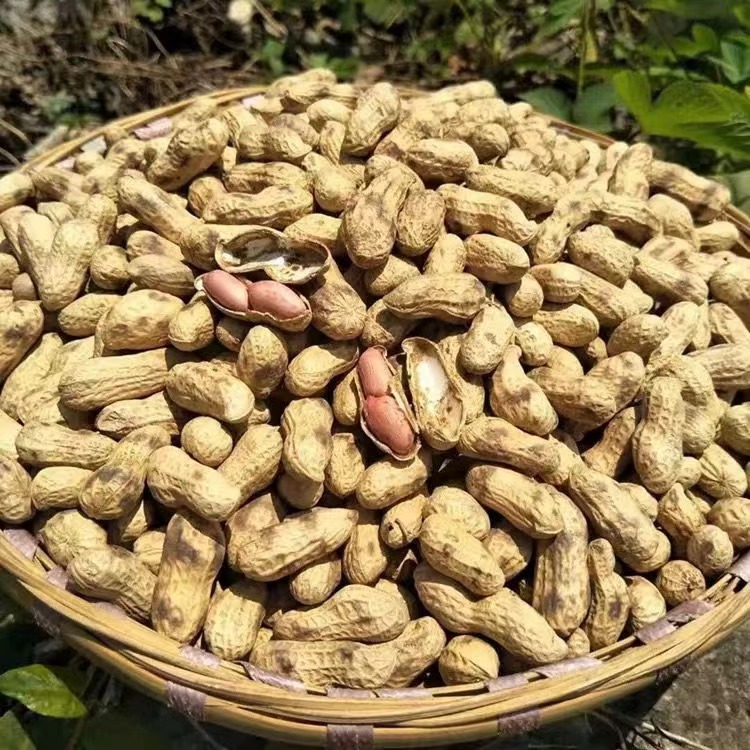 农村柴火炒花生现炒现发休闲小零食焦香酥脆