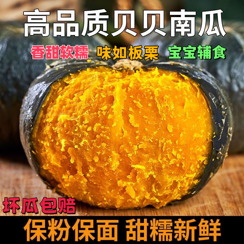 【全爸专属】正宗贝贝南瓜板栗味香软糯粉新鲜产地直发3-5斤