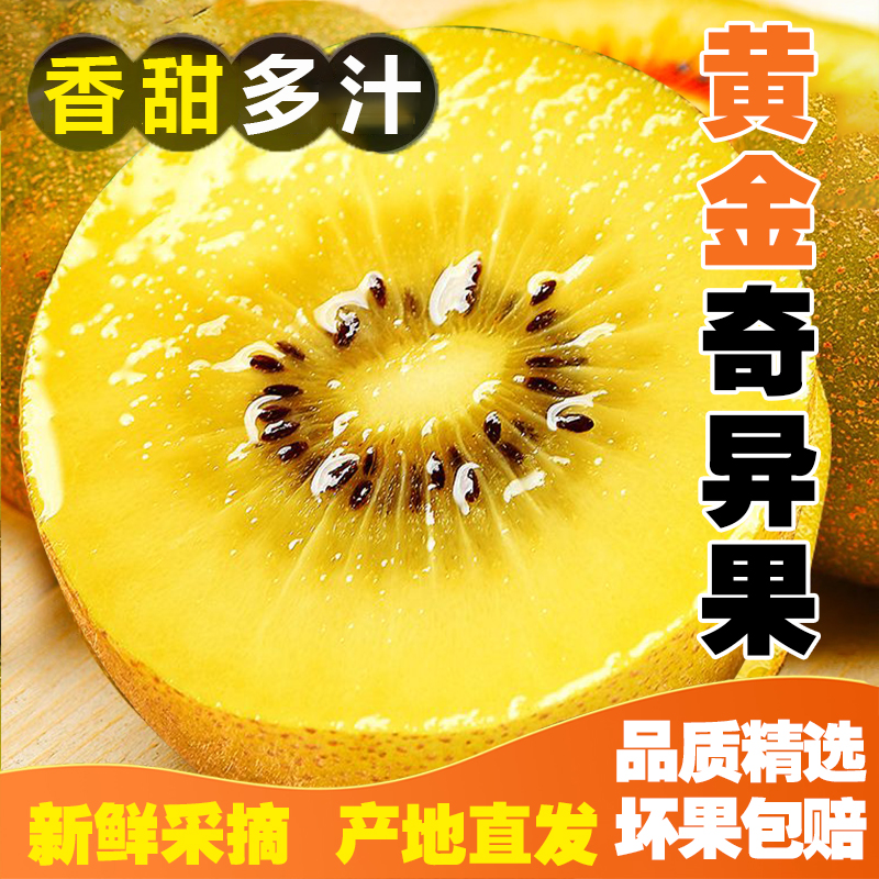 【老树精选】四川正宗黄心猕猴桃（10-30个）单果70g起软糯香甜